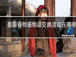 星露谷物语物品交换活动在哪举行