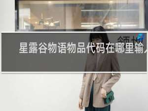 星露谷物语物品代码在哪里输入