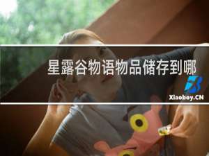 星露谷物语物品储存到哪