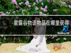 星露谷物语物品在哪里获得
