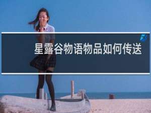 星露谷物语物品如何传送