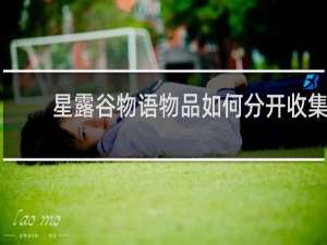 星露谷物语物品如何分开收集