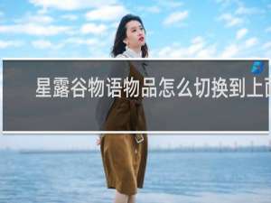 星露谷物语物品怎么切换到上面