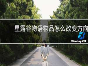 星露谷物语物品怎么改变方向