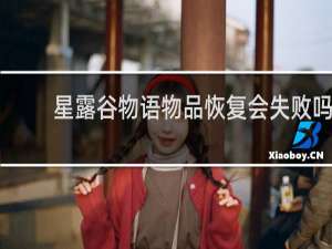 星露谷物语物品恢复会失败吗