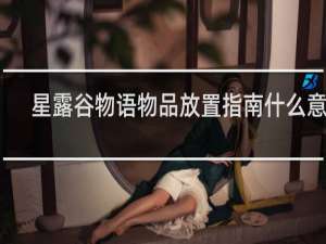 星露谷物语物品放置指南什么意思