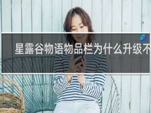 星露谷物语物品栏为什么升级不了