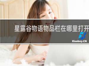 星露谷物语物品栏在哪里打开
