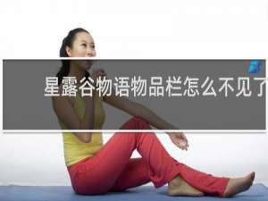 星露谷物语物品栏怎么不见了