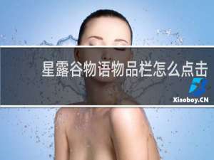 星露谷物语物品栏怎么点击