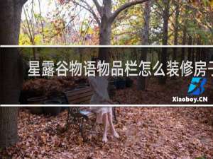 星露谷物语物品栏怎么装修房子