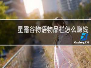 星露谷物语物品栏怎么赚钱