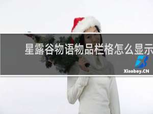 星露谷物语物品栏格怎么显示