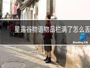 星露谷物语物品栏满了怎么丢