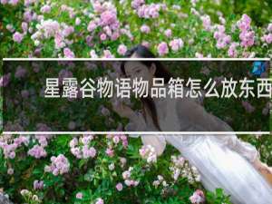 星露谷物语物品箱怎么放东西
