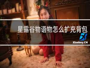 星露谷物语物怎么扩充背包