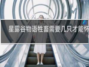 星露谷物语牲畜需要几只才能怀孕