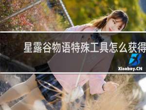 星露谷物语特殊工具怎么获得
