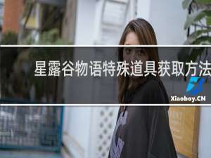 星露谷物语特殊道具获取方法