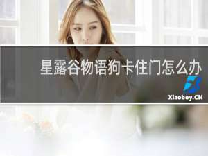 星露谷物语狗卡住门怎么办