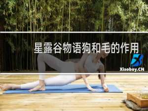 星露谷物语狗和毛的作用
