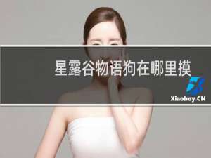 星露谷物语狗在哪里摸