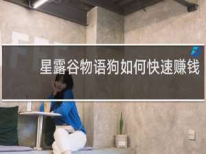 星露谷物语狗如何快速赚钱