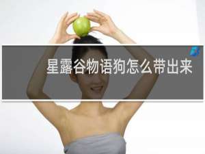 星露谷物语狗怎么带出来