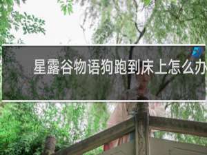 星露谷物语狗跑到床上怎么办