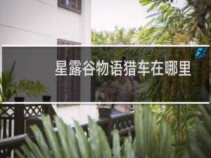 星露谷物语猎车在哪里