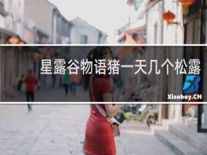 星露谷物语猪一天几个松露