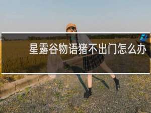 星露谷物语猪不出门怎么办