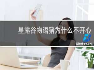 星露谷物语猪为什么不开心