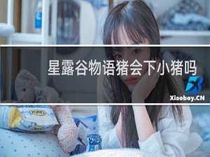 星露谷物语猪会下小猪吗