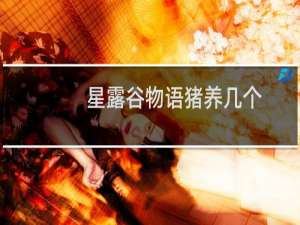 星露谷物语猪养几个