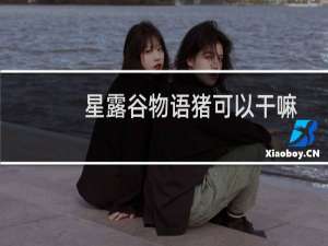 星露谷物语猪可以干嘛