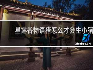 星露谷物语猪怎么才会生小猪