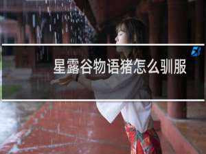 星露谷物语猪怎么驯服