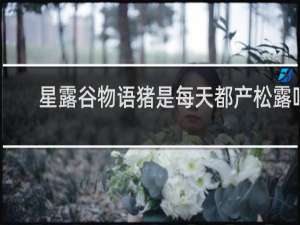 星露谷物语猪是每天都产松露吗