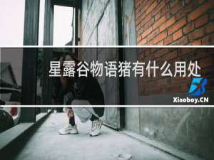 星露谷物语猪有什么用处