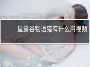 星露谷物语猪有什么用视频