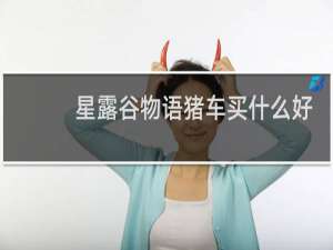 星露谷物语猪车买什么好