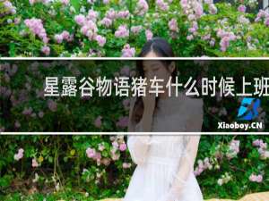 星露谷物语猪车什么时候上班