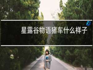 星露谷物语猪车什么样子