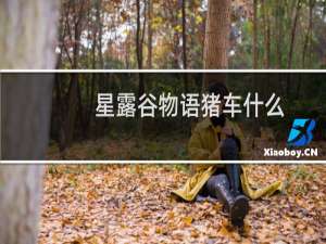 星露谷物语猪车什么