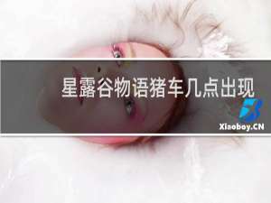 星露谷物语猪车几点出现