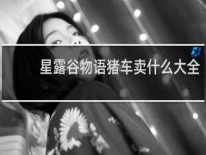 星露谷物语猪车卖什么大全