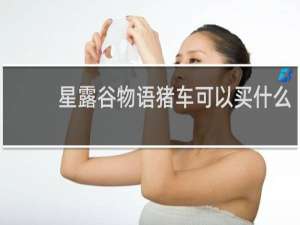 星露谷物语猪车可以买什么