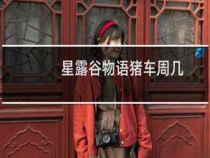星露谷物语猪车周几