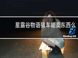 星露谷物语猪车能卖东西么